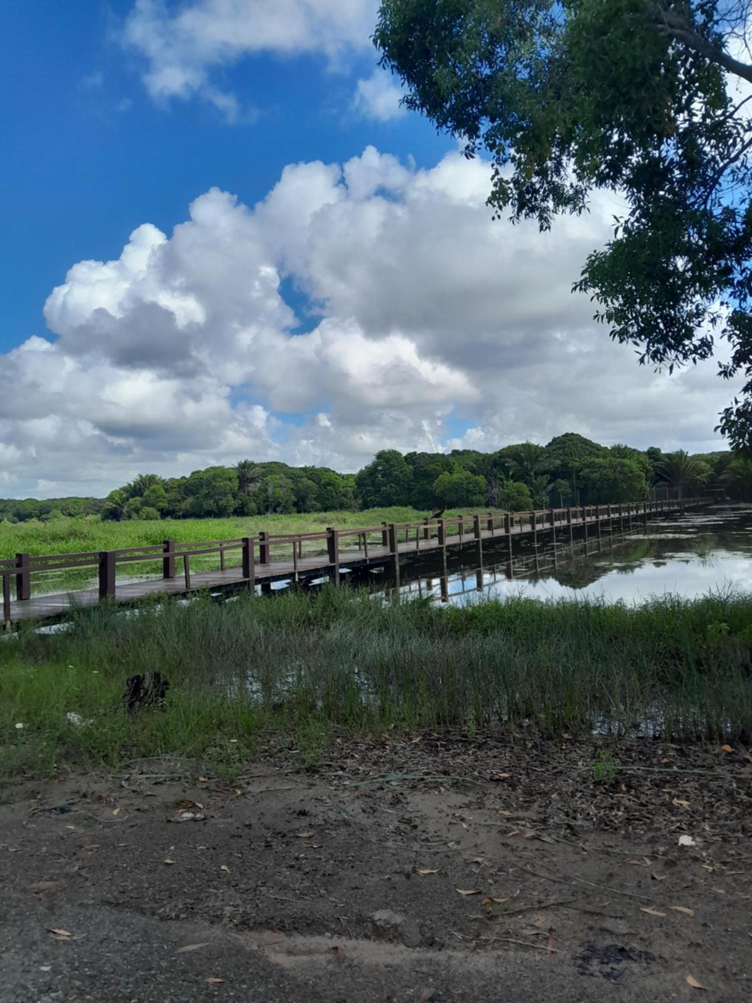 Village Em Itacimirim Lindo, Novo E Tranquilo A 400 M Da Praia Da Espera Eksteriør billede